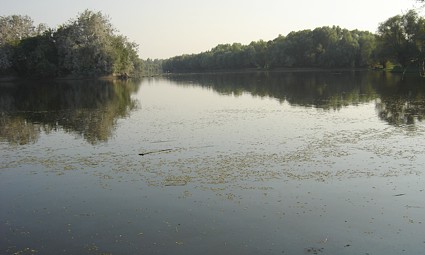 Jezero Sakadaš u Kopačkom ritu