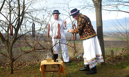 Da grozdovi budu veliki poput kobasice