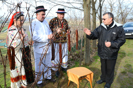 Blagoslov vinograda kod podruma Pocivaljka mira u Baranjskoj planini