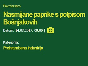 Članak Snježane Kratz