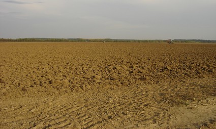 Oranice na predjelu Sarkanj kod Belog Manastira