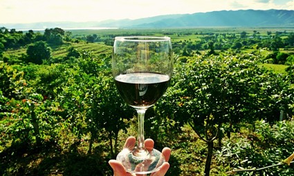 Krediti do 1,52 milijuna kuna uz kamatnu stopu od 0,5% 