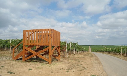 Osmatračnica iznad Vinske ceste
