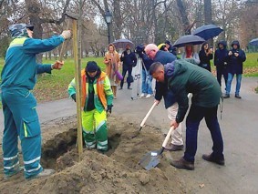 Ekoakcija u Aleji kestenova