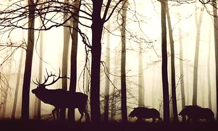 Natječaj je otvoren do 15. listopada 2023.