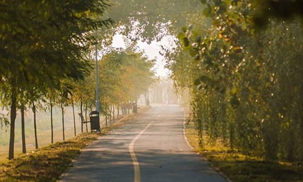 Biciklistička staza uz Šećeransko jezero