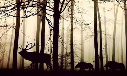 Potpora za električne i žičane ograde