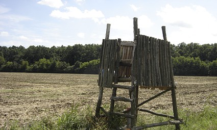 Lovačka čeka u polju blizu šume Haljevo kod Belog Manastira