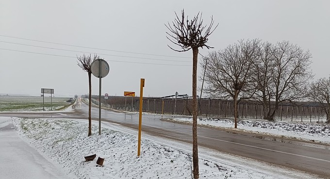 Kneževi Vinogradi - snimila Zora Panić Kedveš