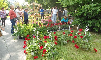 Osijek, Park kralja Držislava