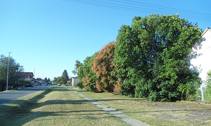 Beli Manastir, Školska ulica (pogled prema Beljskom naselju)