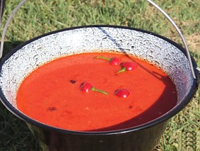 Kotlić s pilećim paprikašom