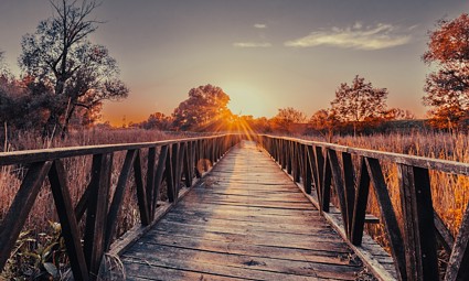 Prijemni centar PP Kopački rit