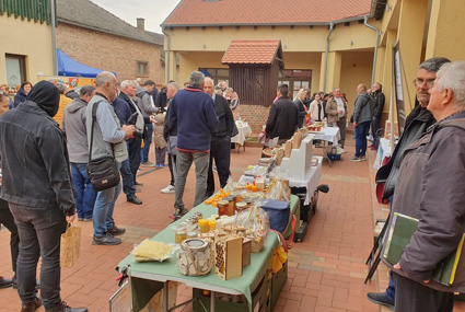 Dvorište Etnološkog centra baranjske baštine
