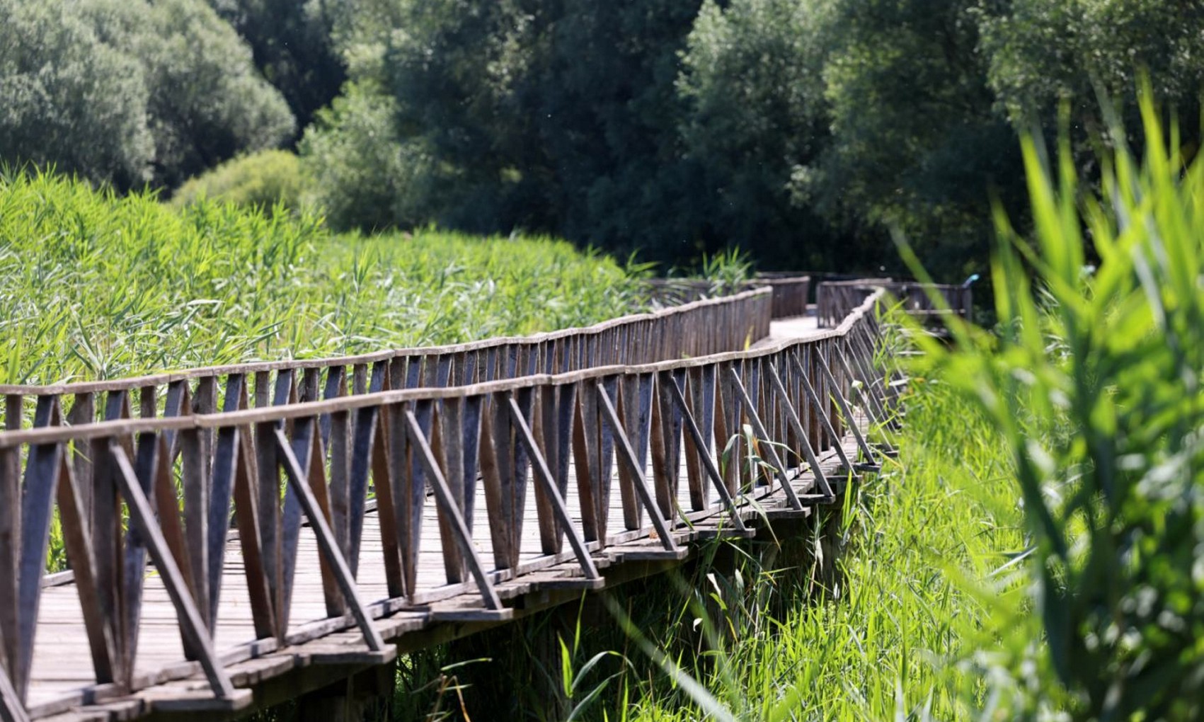 PP Kopački rit: Šetnica od Prijemnog centra do pristaništa na jezeru Sakadaš